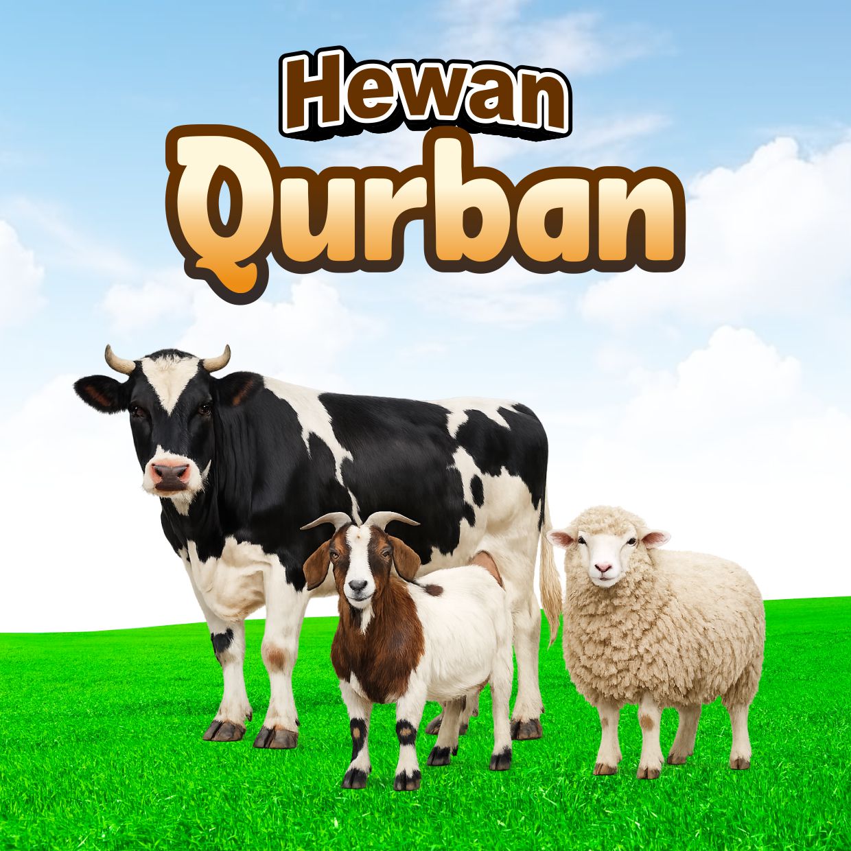hewan qurban