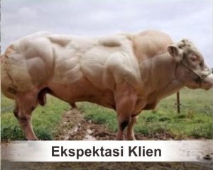 ekspektasi klien ok